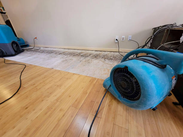 Professional Flood Damage Cleanup technician working in Cisco, UT